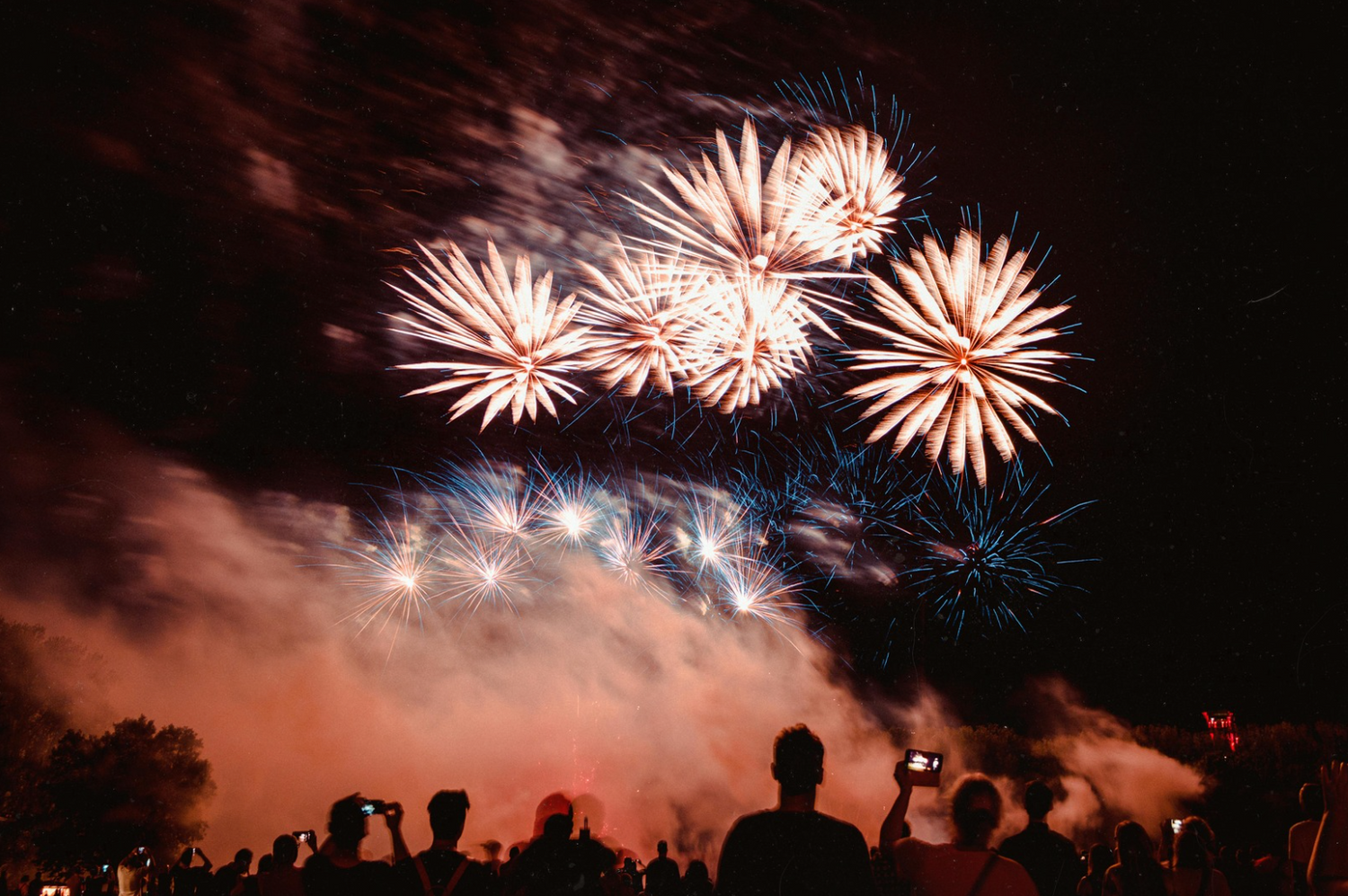 Dogs and Fireworks: How to Keep Your Pup Calm This Bonfire Night