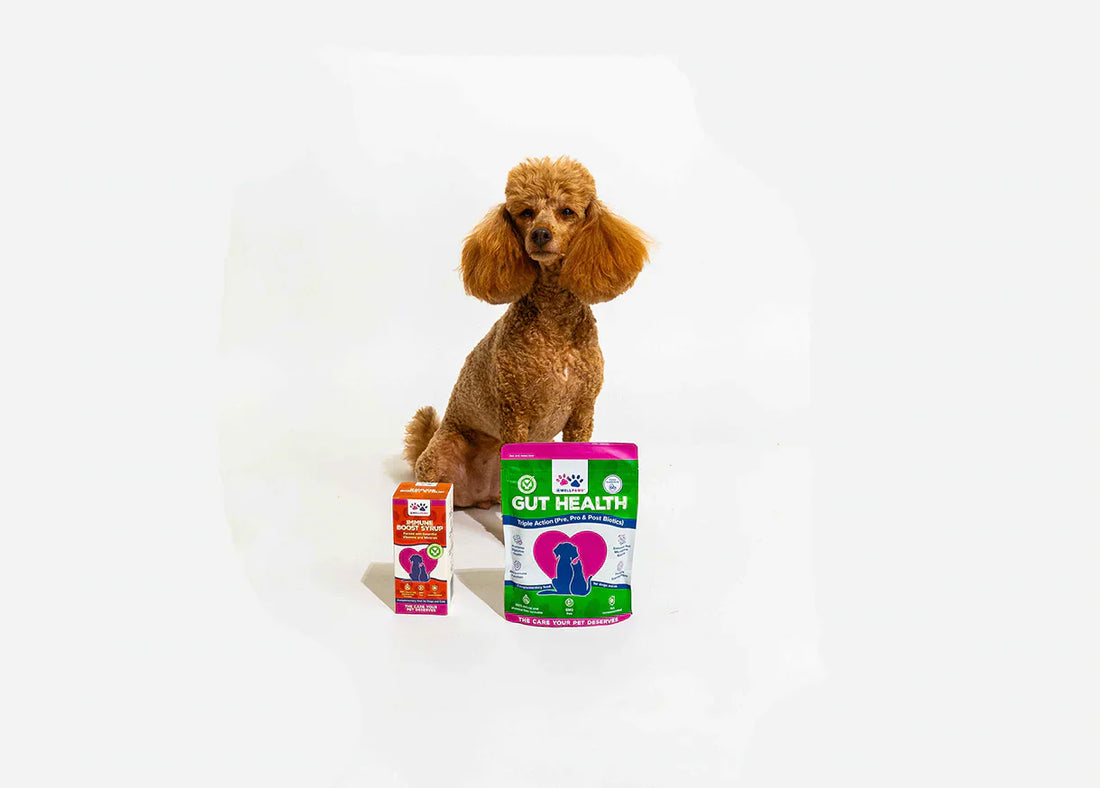 WellPaws Takes a Giant Step Forward, Now Nationally Distributed with Vital Pet Group