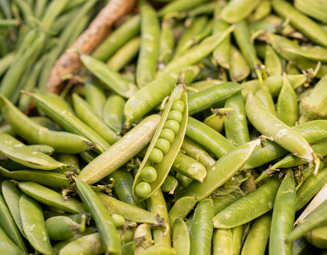 Can Dogs Eat Peas?
