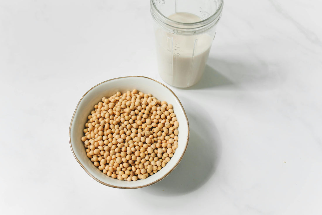 Can Dogs Eat Soy?
