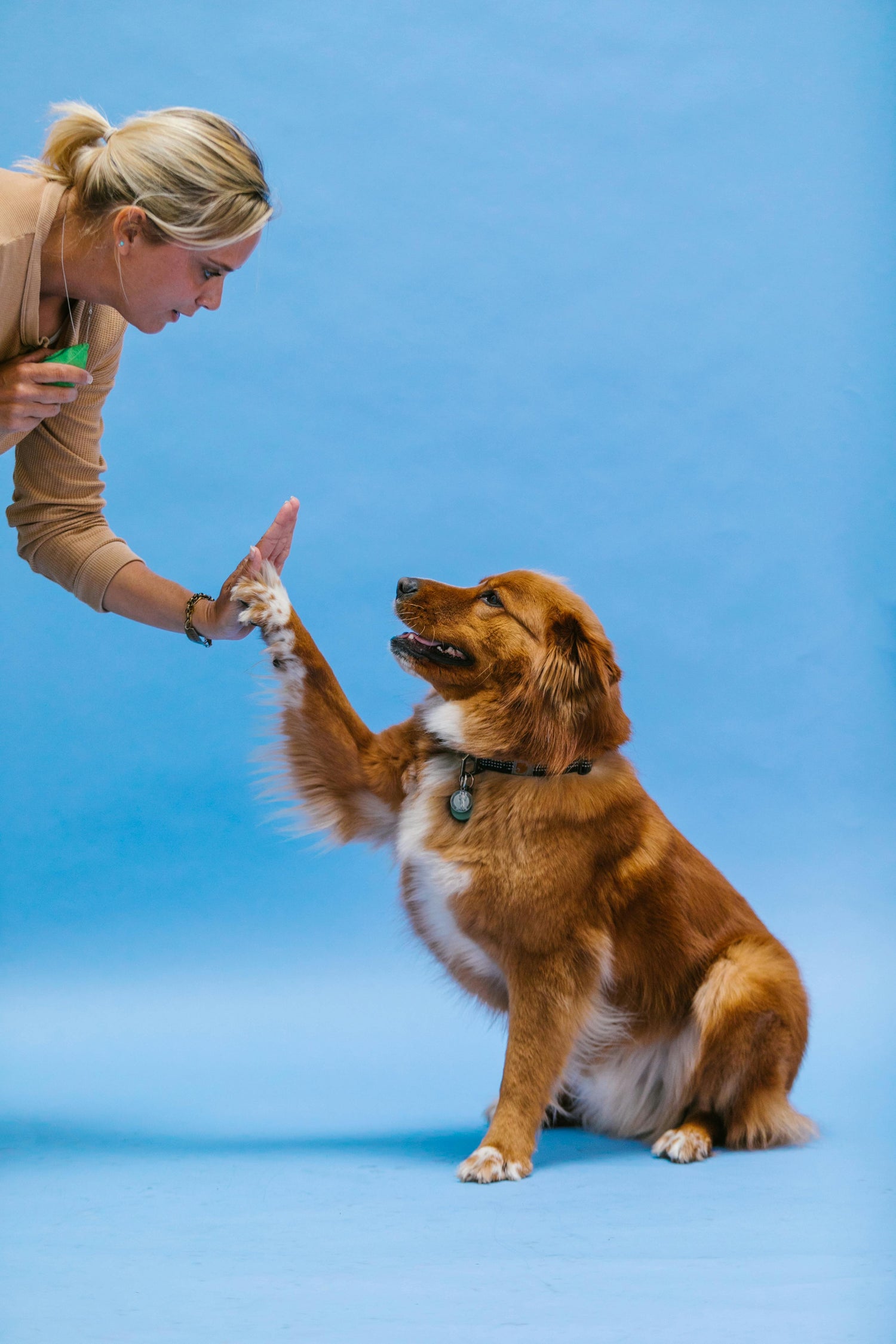 Teach Your Dog to Spin
