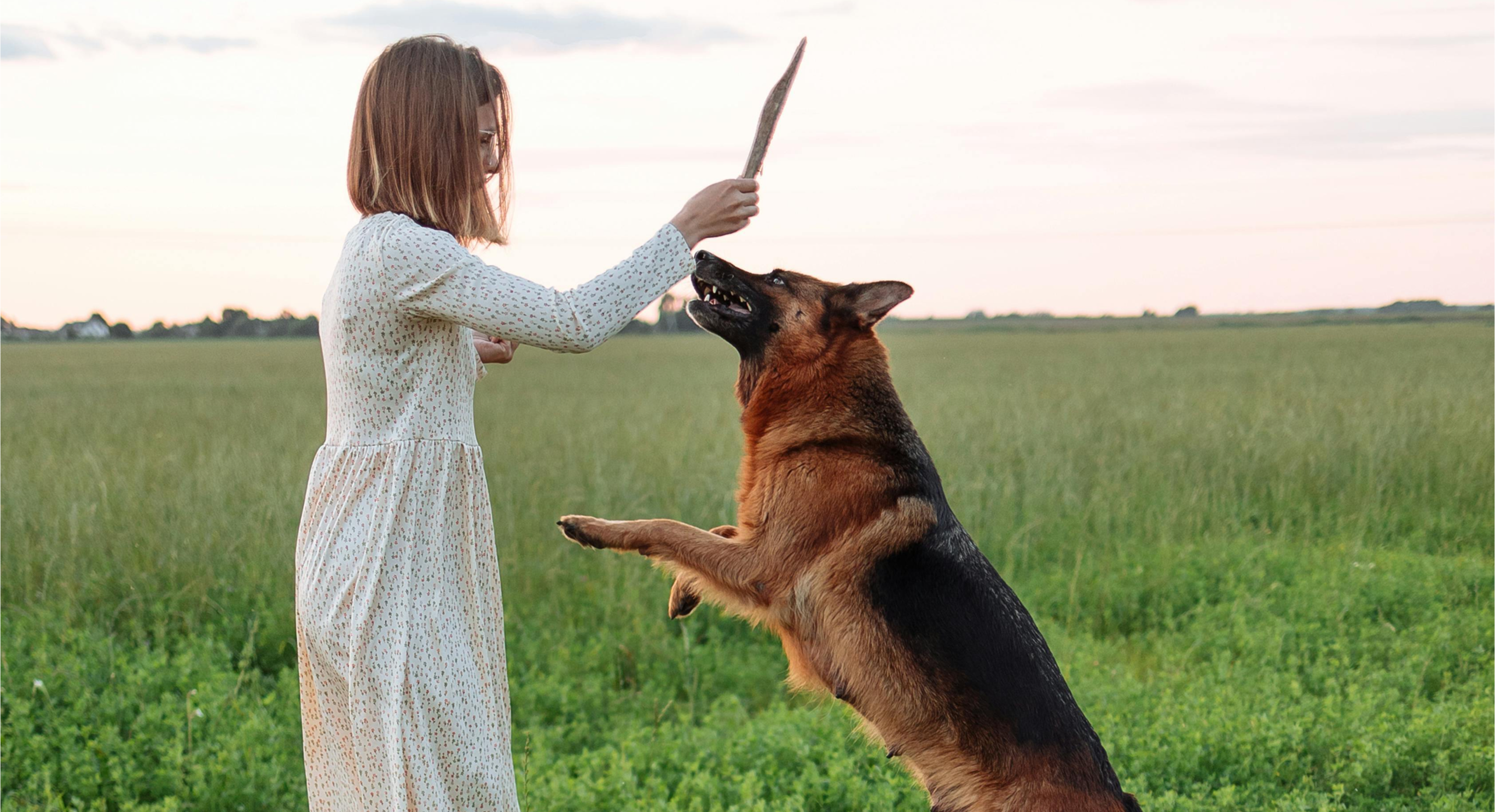 How To Stop Your Dog From Jumping Up