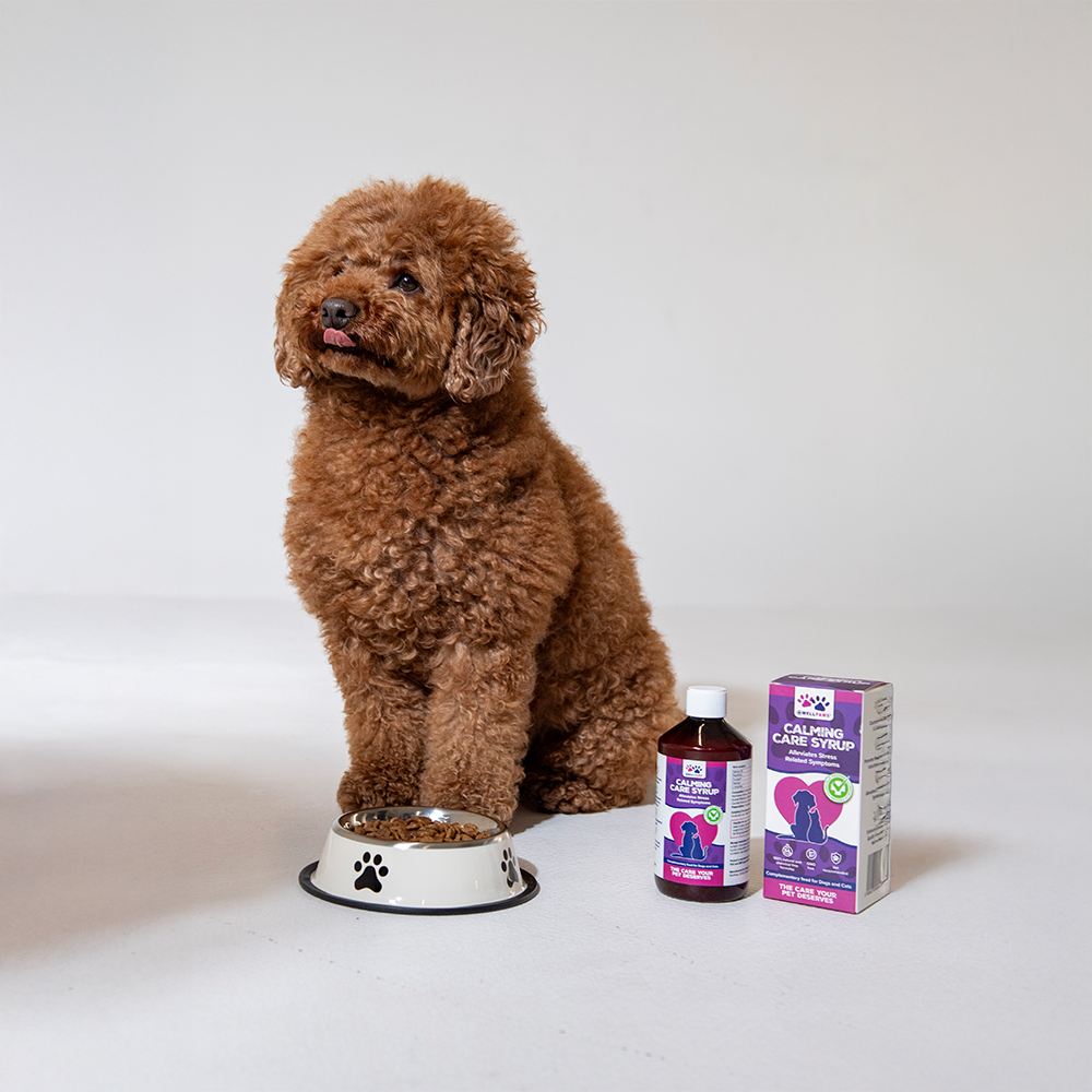 Calming Care Syrup (300ml)