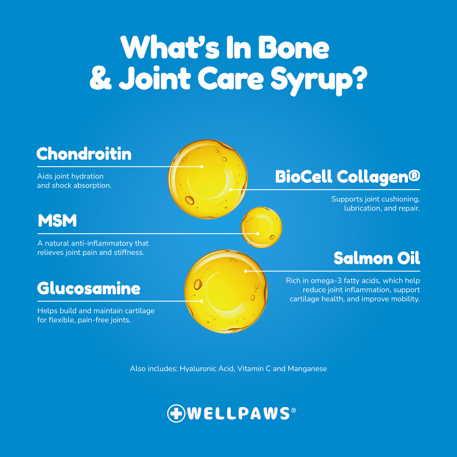 Bone & Joint Care Syrup (300ml)
