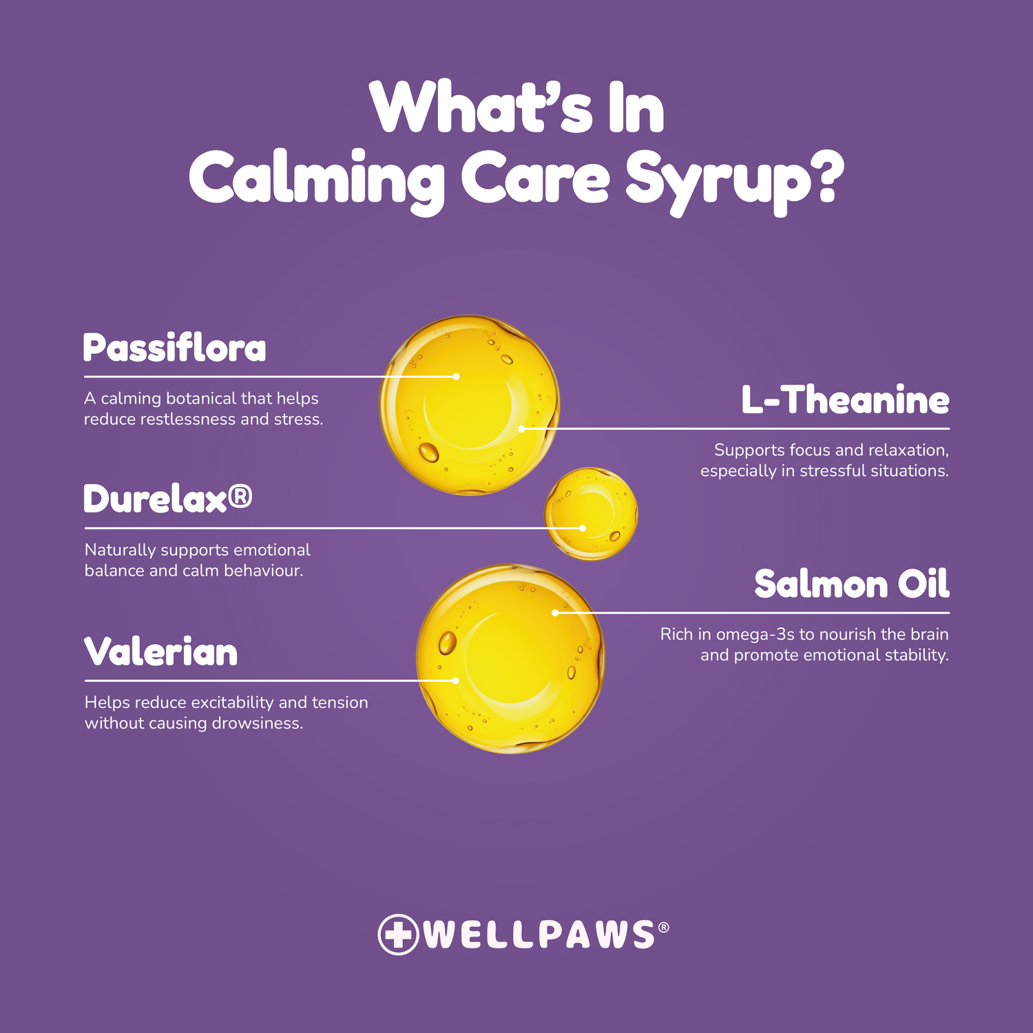 Calming Care Syrup (300ml)