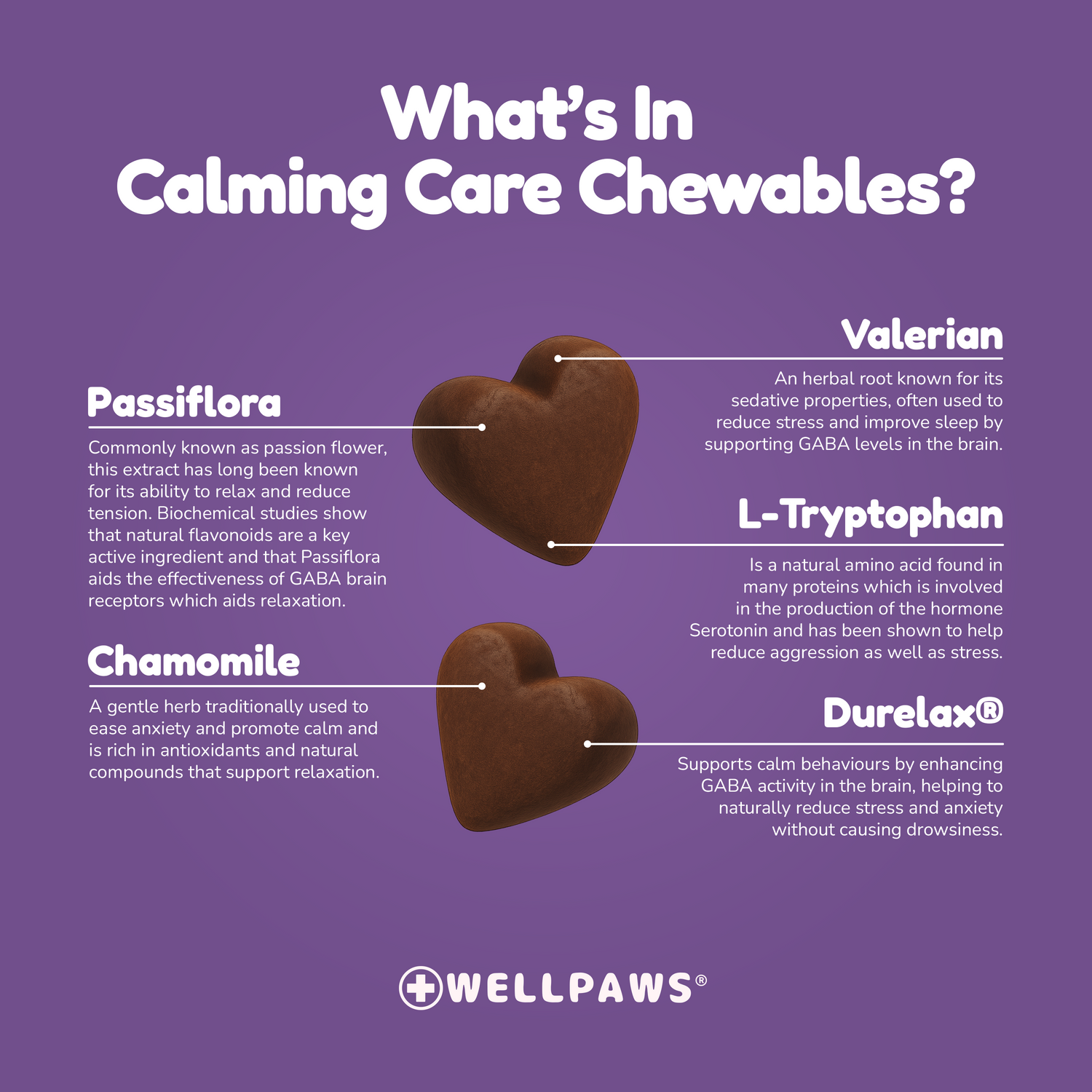 Calming Care Chewable (60 Chewables)