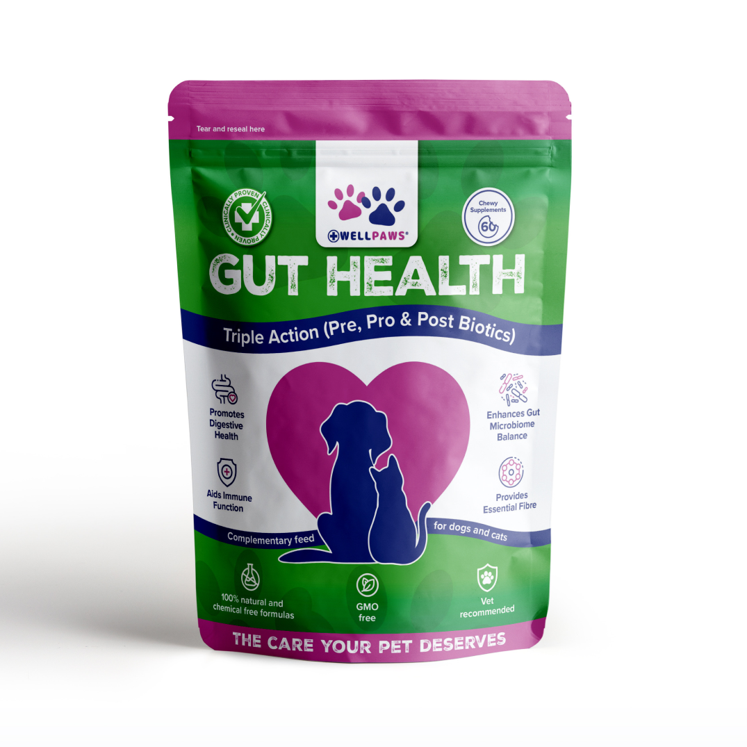 Gut Health Chewable (60 Chewables)