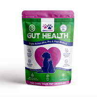 Gut Health Chewable (60 Chewables)