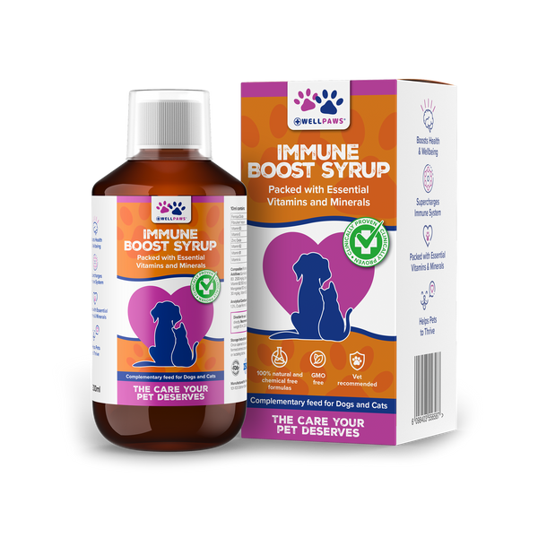 Immune Boost Syrup (300ml)