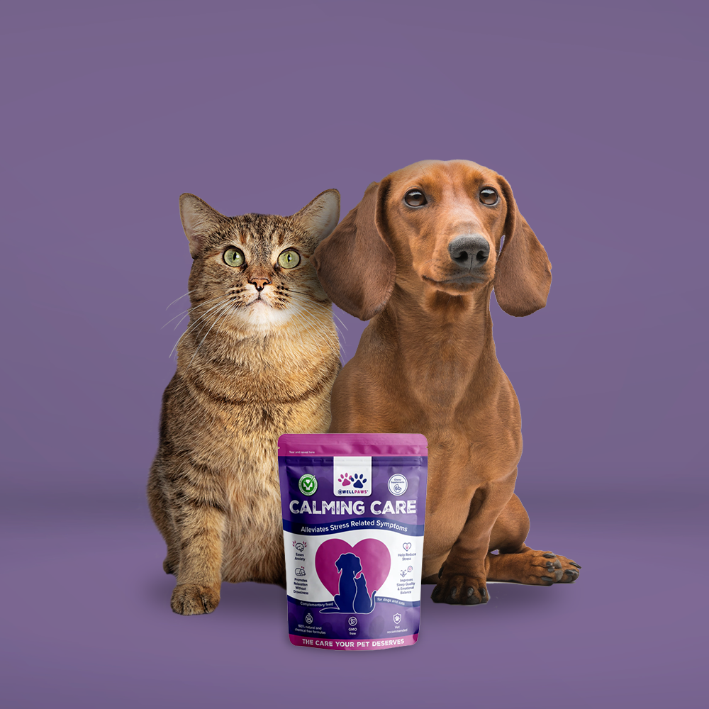 Calming Care Chewable (60 Chewables)