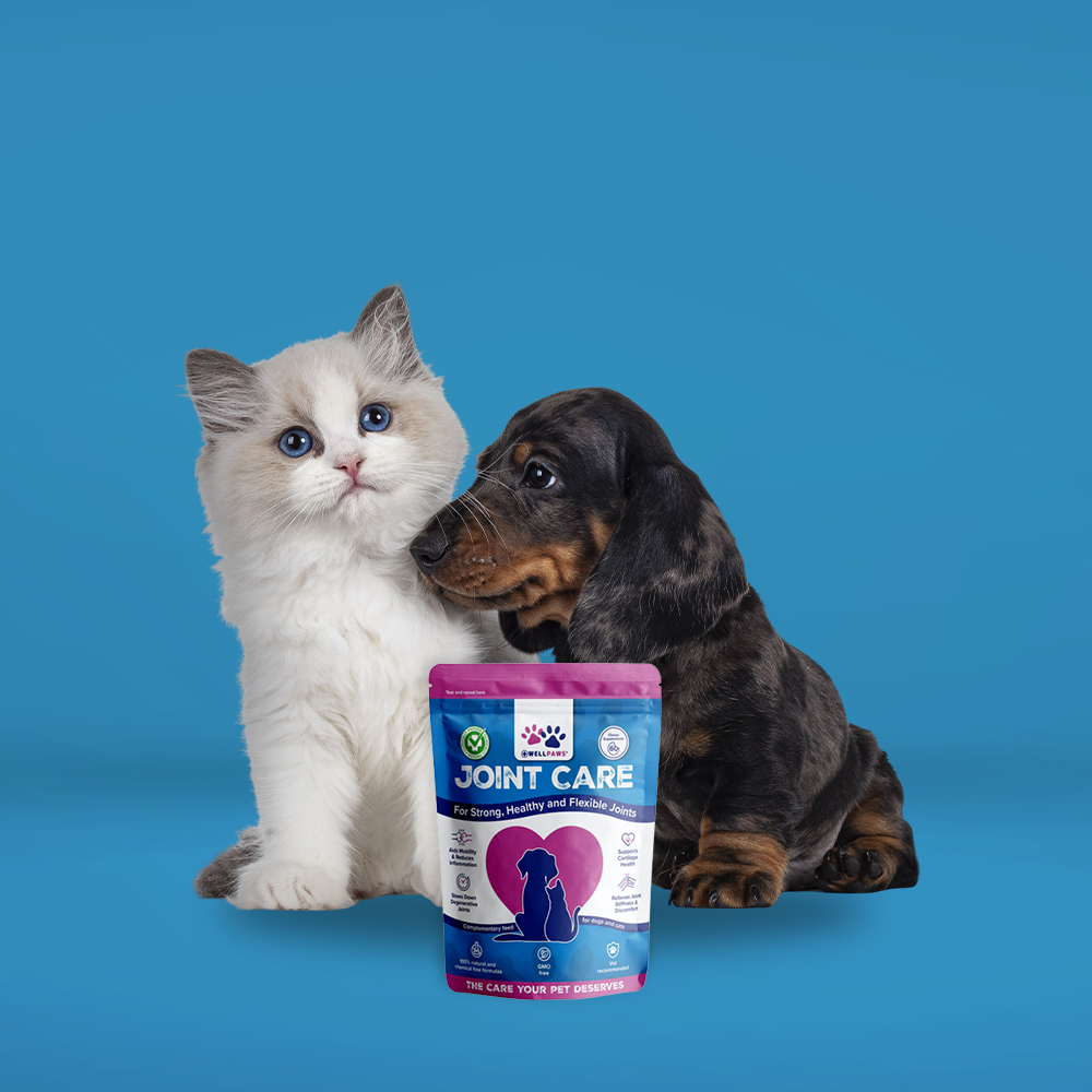 Joint Care Chewable (60 Chewables)