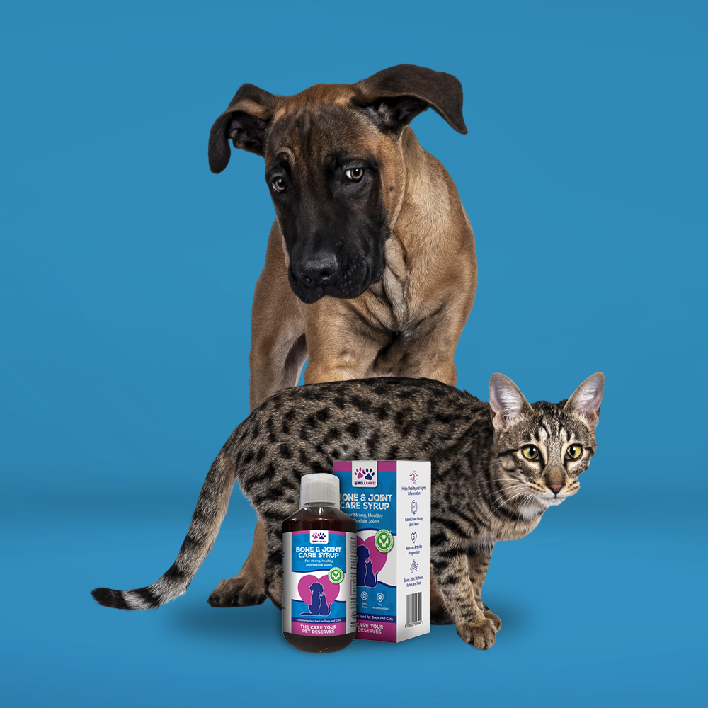 Bone & Joint Care Syrup (300ml)