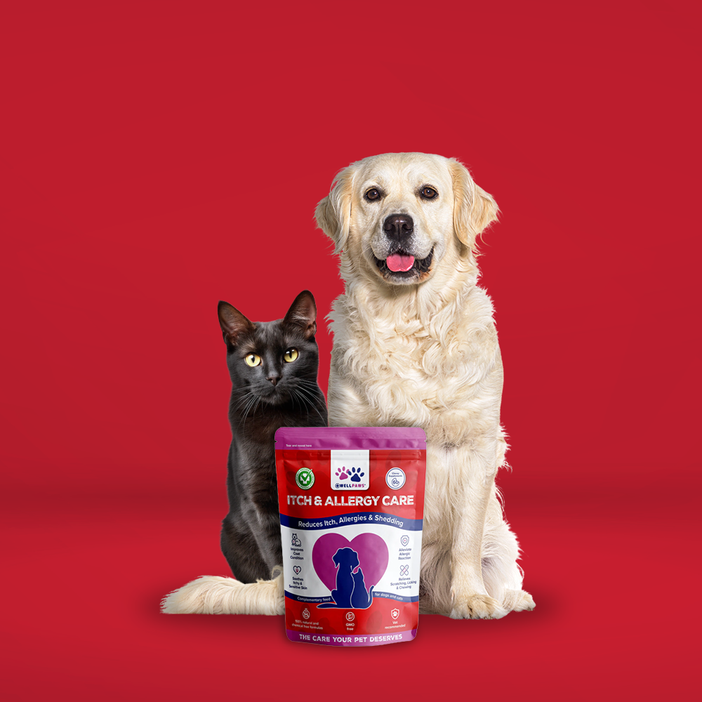 Itch & Allergy Care Chewable (60 Chewables)