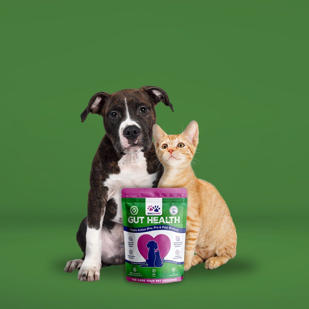 Gut Health Chewable (60 Chewables)