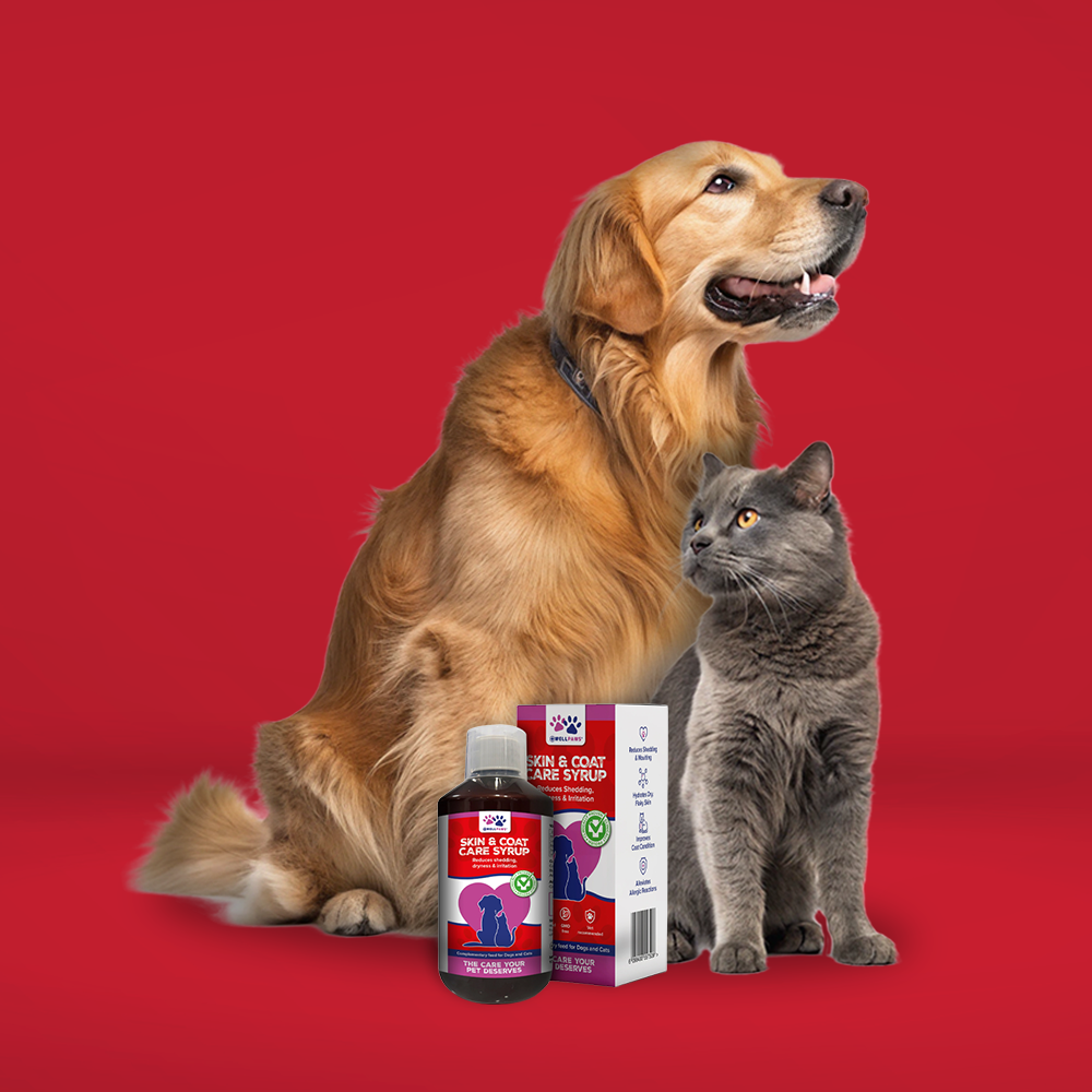 Skin & Coat Care Syrup (300ml)