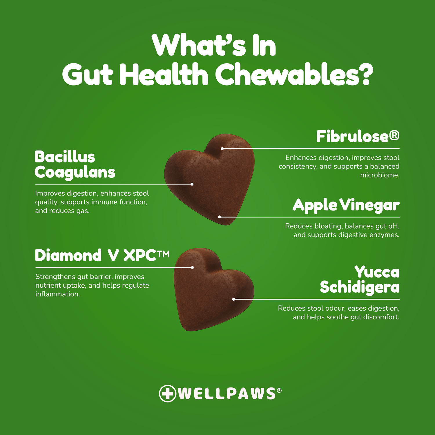 Gut Health Chewable (60 Chewables)