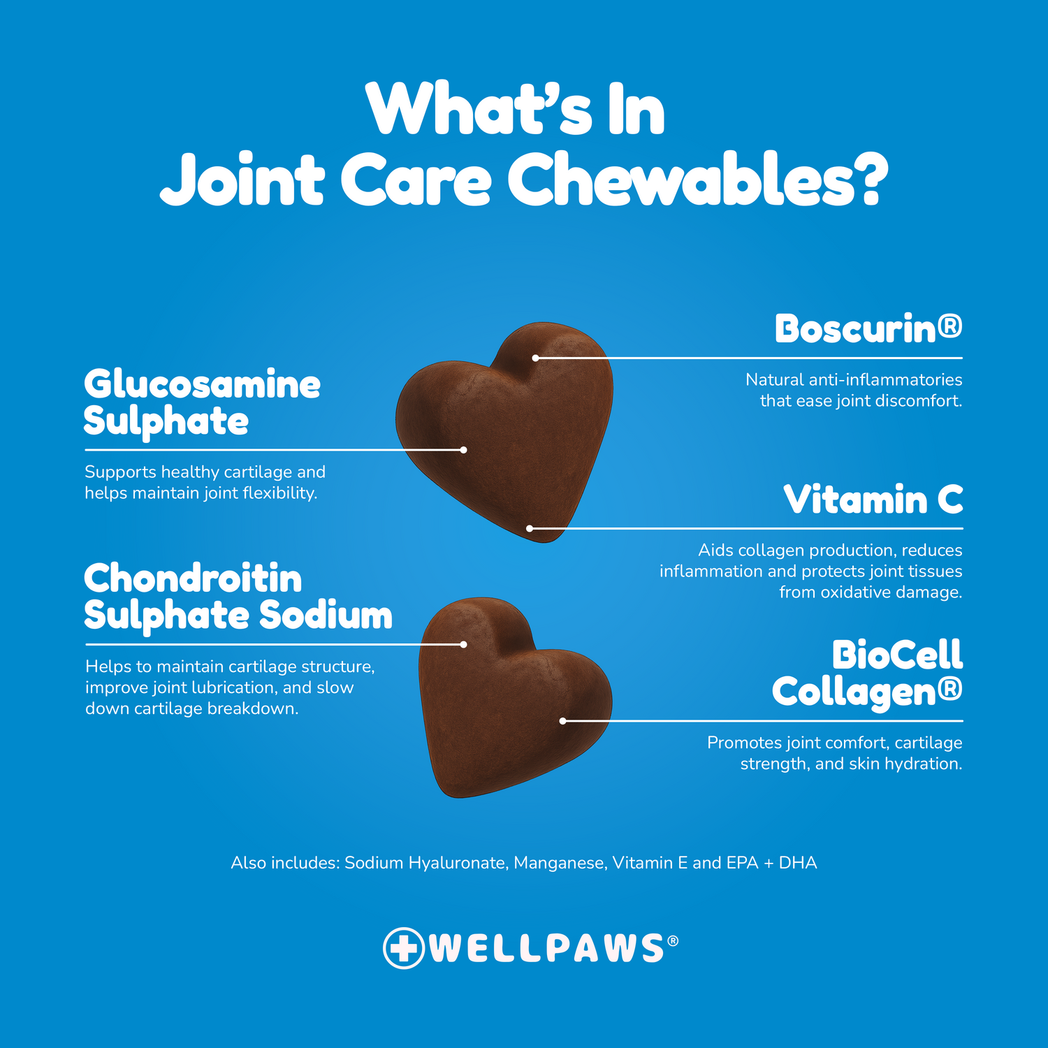 Joint Care Chewable (60 Chewables)