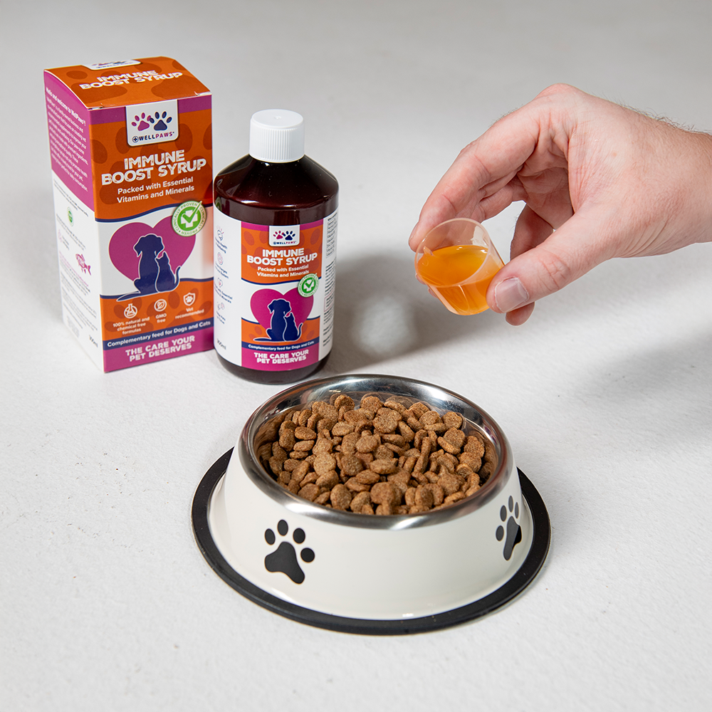 Immune Boost Syrup (300ml)