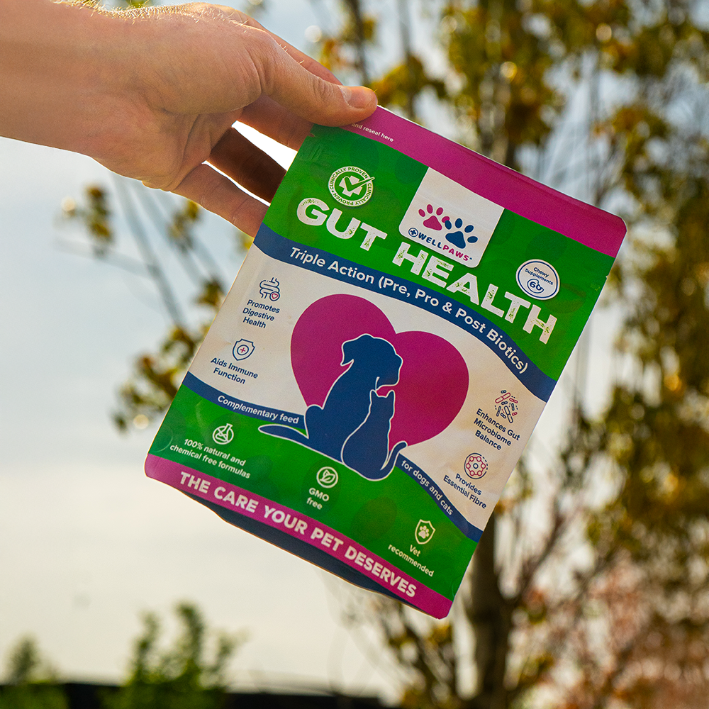 Gut Health Chewable (60 Chewables)